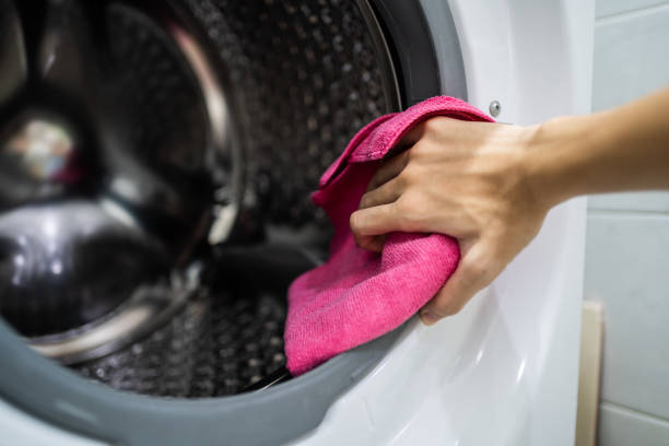 Reliable Flushing, MI Mold Removal Solutions