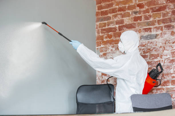  Flushing, MI Mold Removal Pros