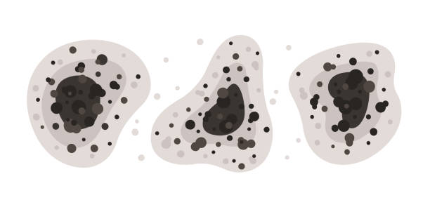 Best Mold-Related Health Consultation  in Flushing, MI