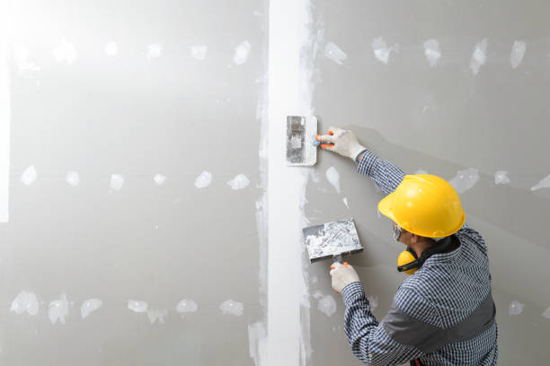 Best Mold Documentation for Insurance Claims  in Flushing, MI